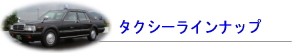 タクシーラインナップ