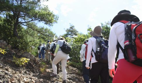 IruCa�t�@�~���[�E�H�[�N