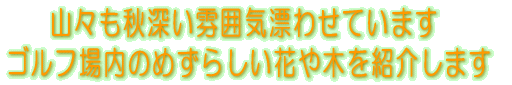 ΂̑nɁAH͋̕CY킹Ă܂ @St̂߂炵Ԃ؂Љ܂ 