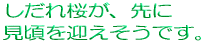 A }łB