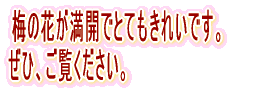 ~̉ԂJłƂĂꂢłB ЁAB