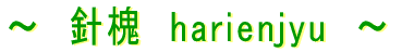 NunEX R