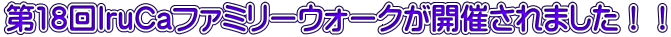 18IruCat@~[EH[NJÂ܂II
