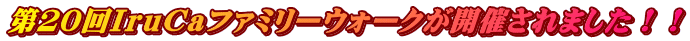 QOhCat@~[EH[NJÂ܂II