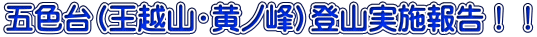 ܐFizREmjoR{񍐁II