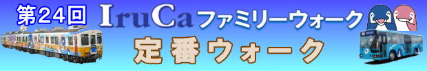 23IruCat@~[EH[N