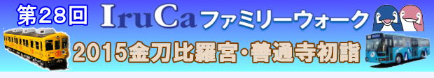 25IruCat@~[EH[N