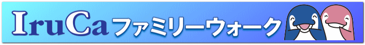 IruCat@~[EH[N