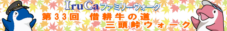 33 XEH[N